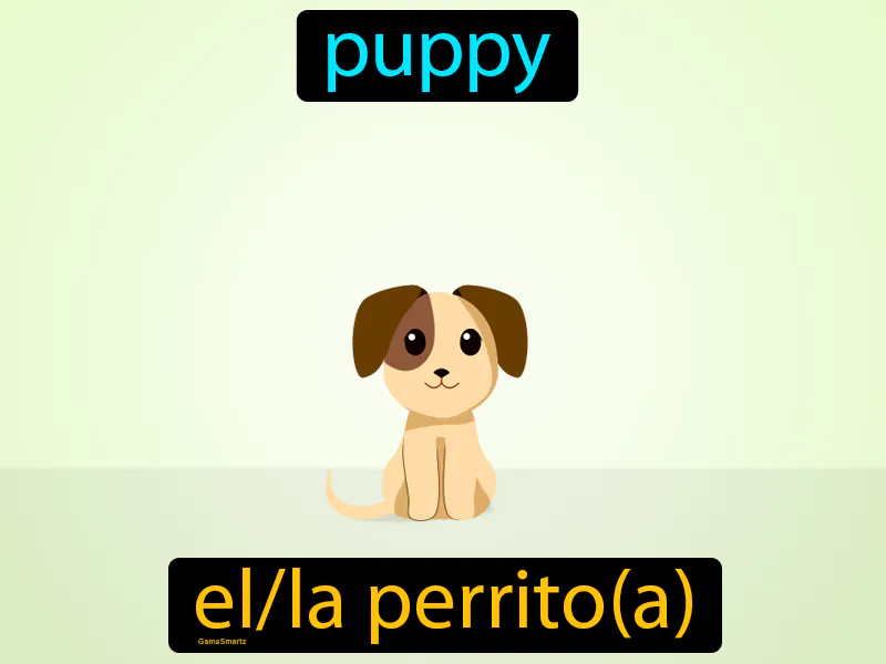 El Perrito Definition - Easy to Understand | GradesUp.gg