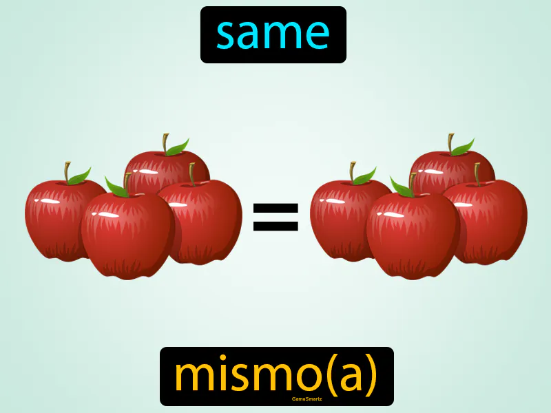 Mismo Definition - Easy to Understand | GradesUp.gg