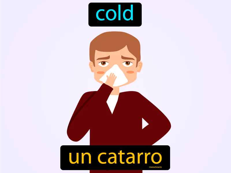 Un Catarro Definition